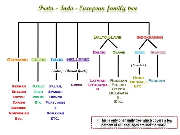 Language learning grammar